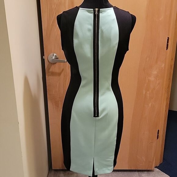 Boston Proper Black and Mint Sheath Dress Sz 10 - Picture 5 of 13
